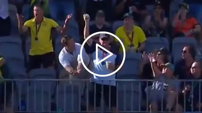 [Watch] Old Man Grabs One-Handed Catch With Beer In Another Hand During AUS-WI T20I